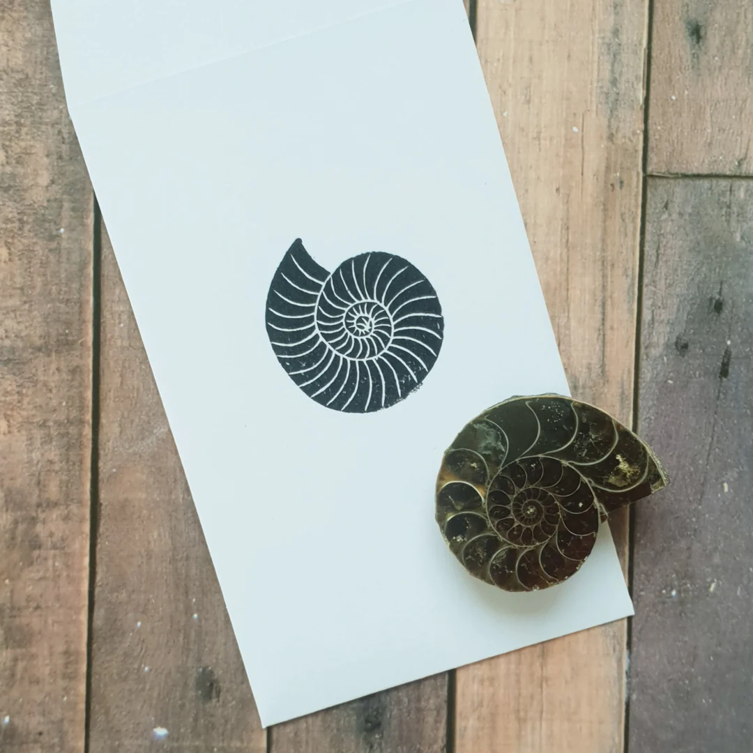 SUSTAINABLE PARTY BAG IDEAS: 37 ECO-FRIENDLY PARTY BAG FILLERS FOR KIDS 76 Ammonite Fossil Party Bag Filler Little Otter Party Supplies