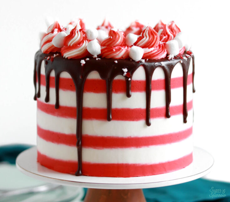 Image for Peppermint Hot Cocoa Cake Recipe