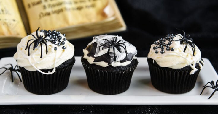 Image for Black and White Spider Web Cupcakes