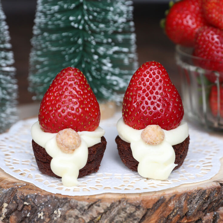 Image for Easy Brownie Bite Gnomes
