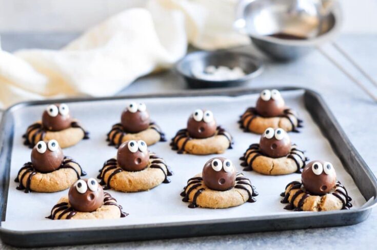Image for Peanut Butter Spider Cookies