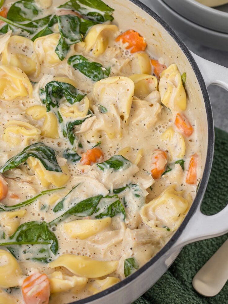 Image for Chicken Alfredo Soup with Tortellini