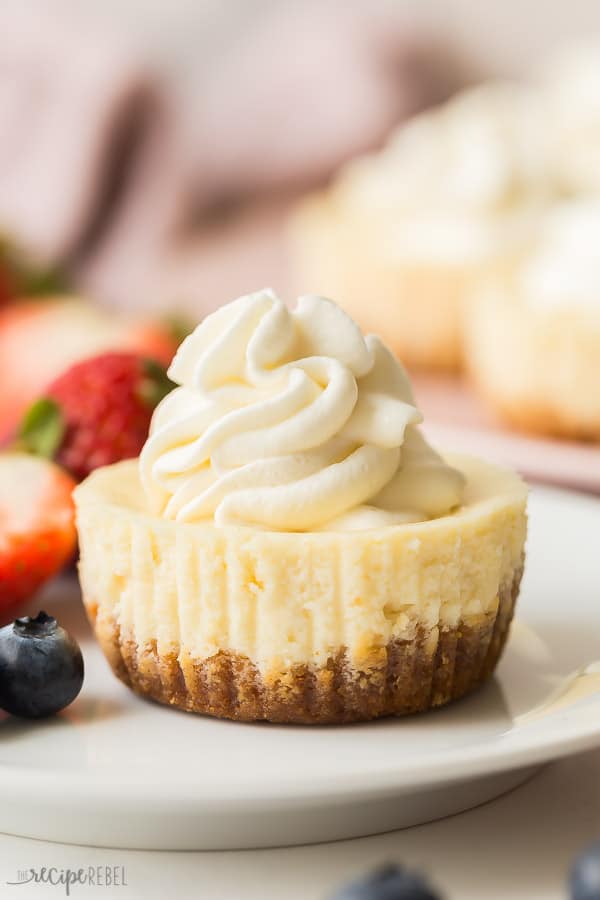 Image for Easy Cheesecake Cupcakes Recipe + VIDEO