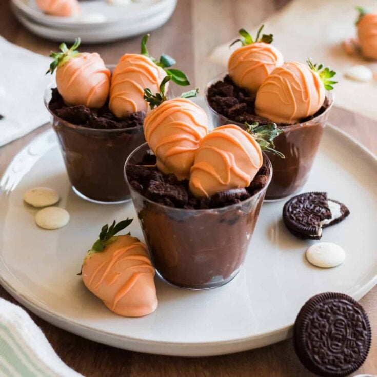 Image for Carrot Patch Dirt Cups