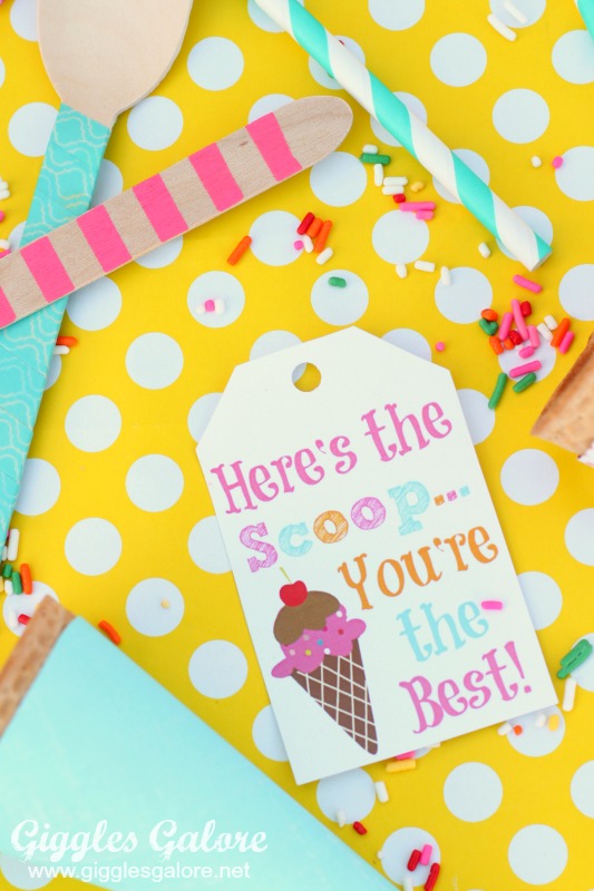 Image for Here's The Scoop Ice Cream Gift Basket