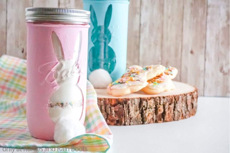 Image for Bunny Cookie Mix Gift in a Jar – How to Paint Mason Jars Using Cricut Stencils