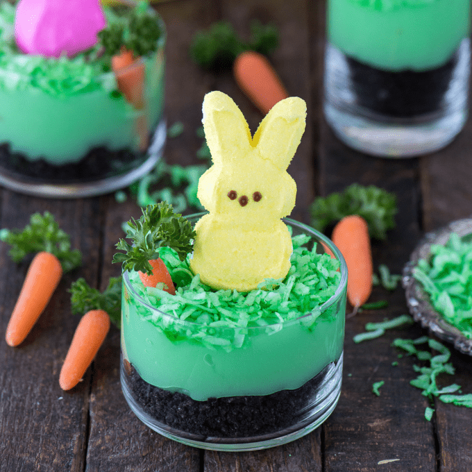 Image for Peeps Bunny Pudding Cups