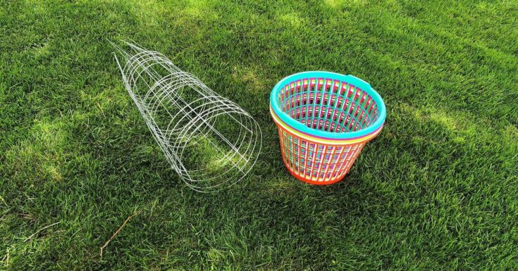 Image for Easy Frisbee Golf For Your Backyard!
