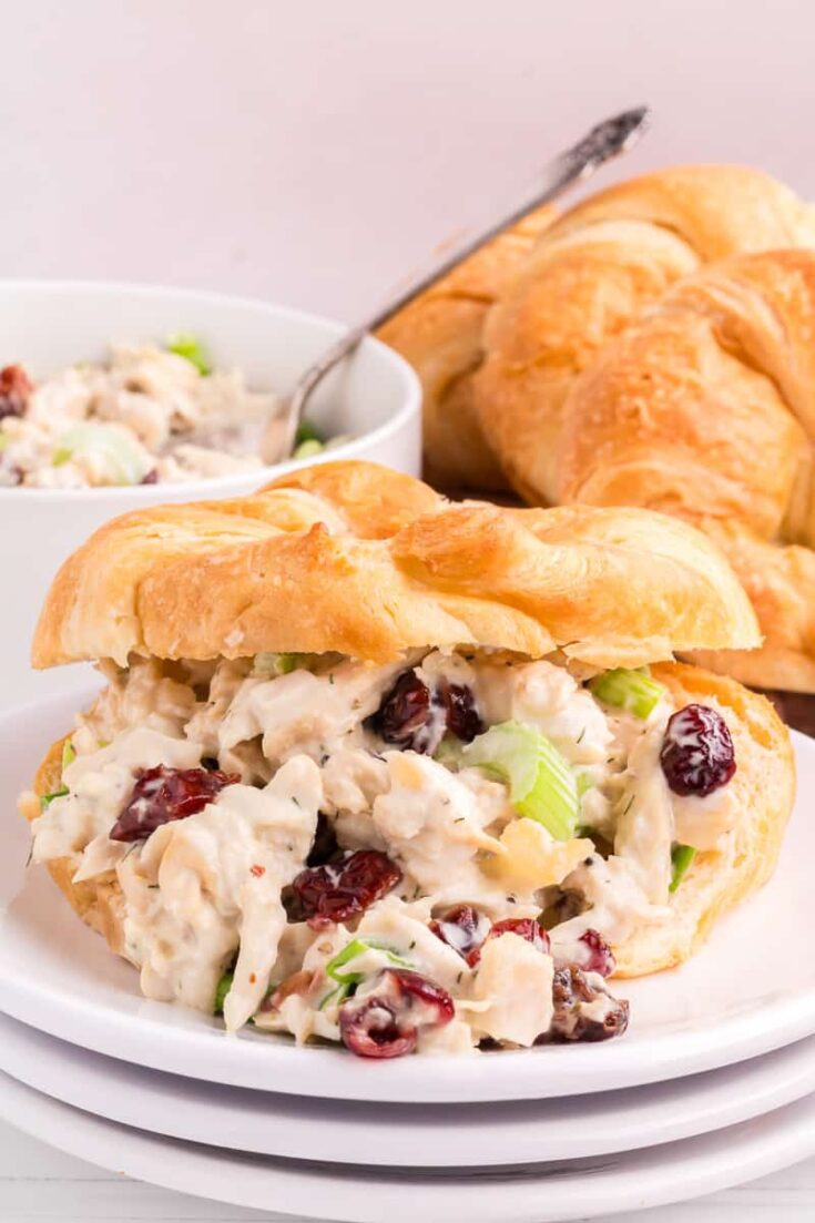 Image for Easy Cranberry Chicken Salad Recipe