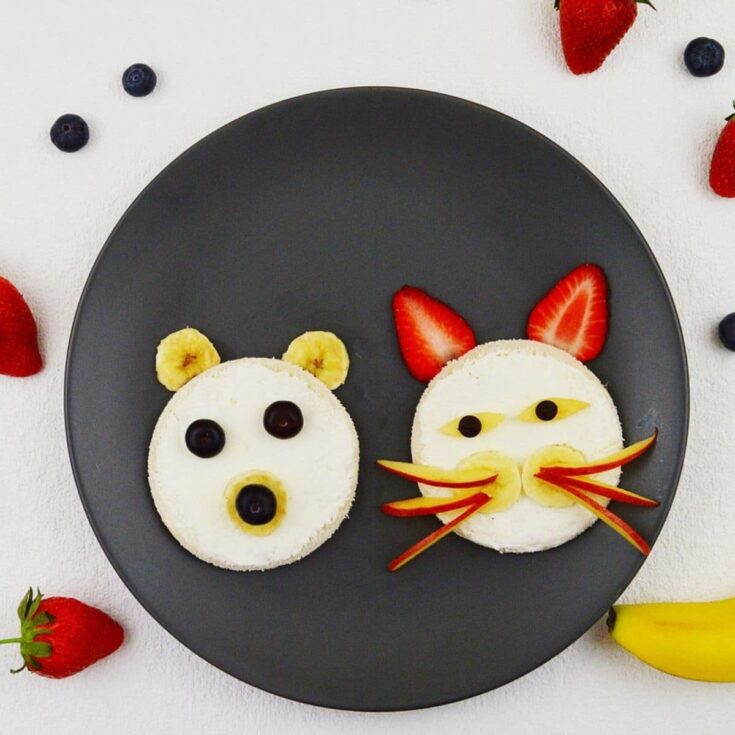 Image for Kid Friendly Animal Open Faced Sandwich
