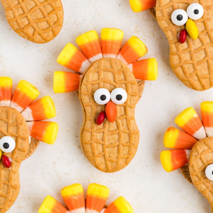 Image for Cute Nutter Butter Turkeys
