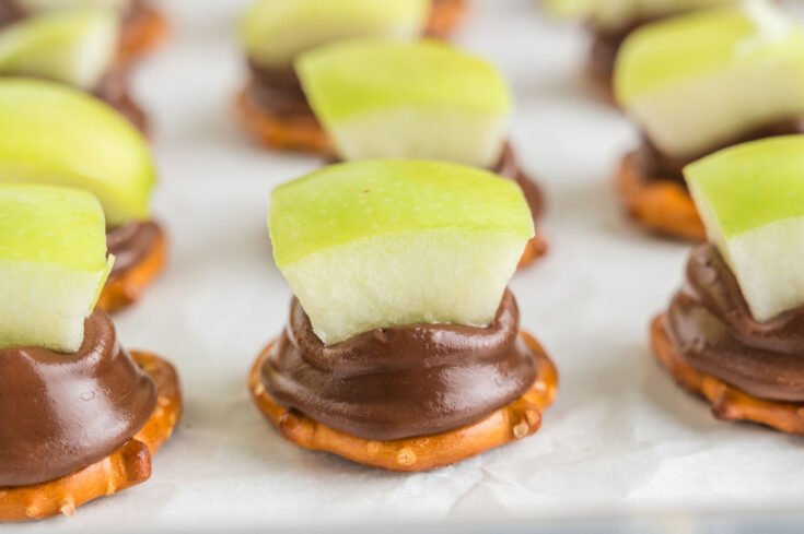 Image for Apple Pretzel Bites