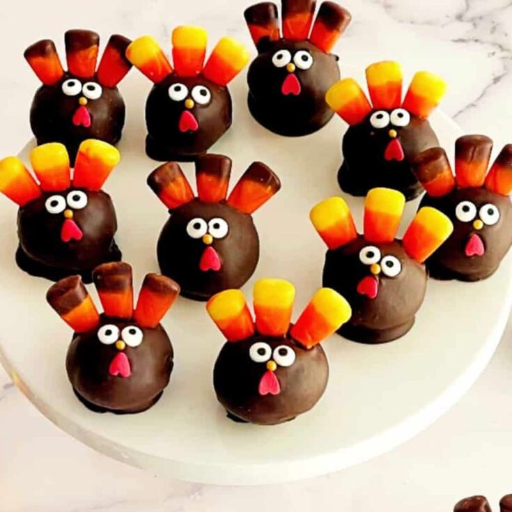 Image for Turkey Cake Pops