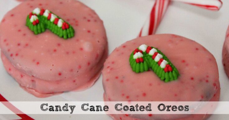 Image for Candy Cane Covered Oreos | So Easy To Make!