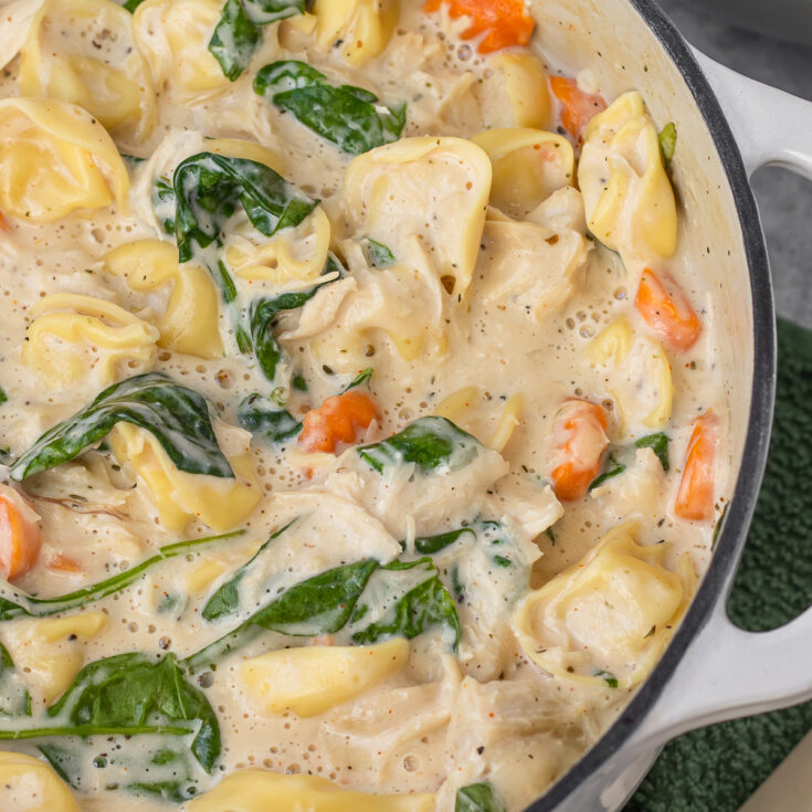 Image for Chicken Alfredo Soup with Tortellini