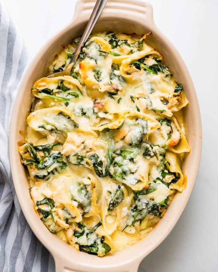 Image for Chicken Alfredo Stuffed Shells