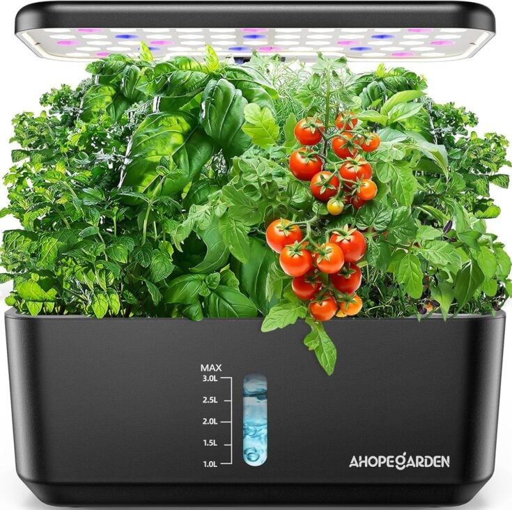 Image for Indoor Hydroponic Growing System