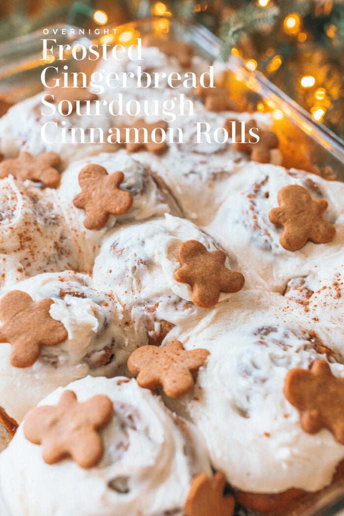 Image for Frosted Gingerbread Sourdough Cinnamon Rolls